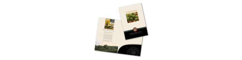 COMPANY FILES  CYPRUS PRINTING CENTER