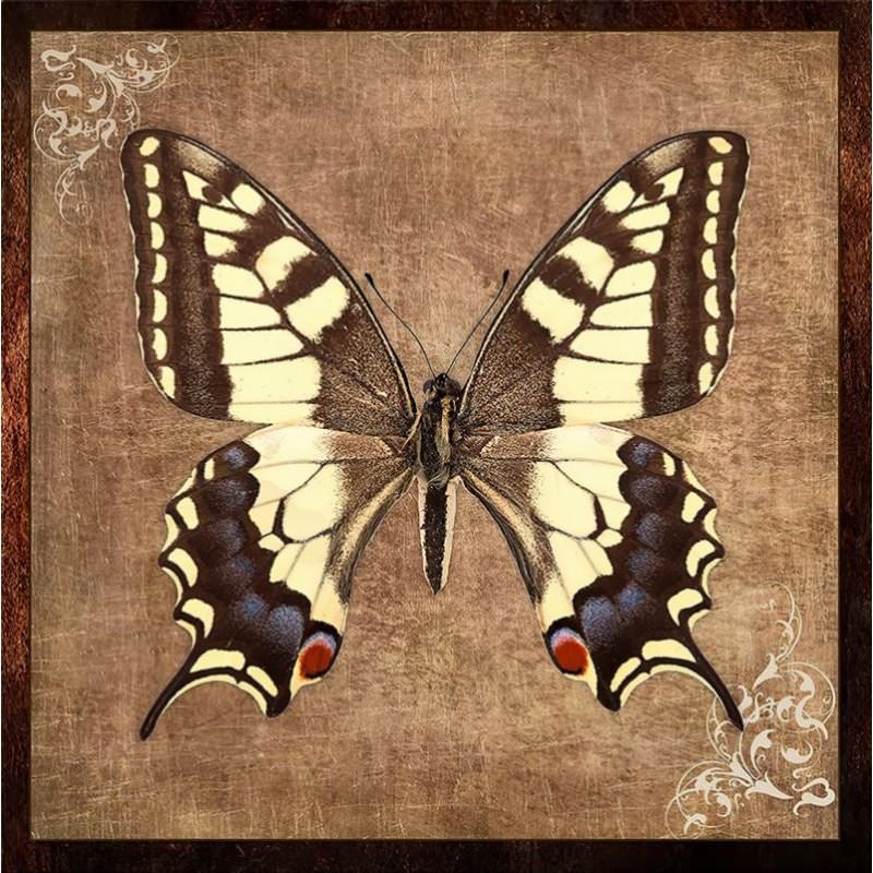 Worn Butterfly Painting Worn Butterfly Painting