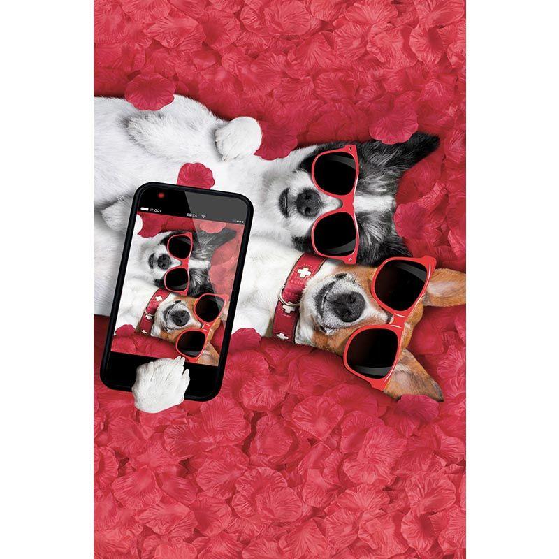 Cool Dogs Digital Printed Carpet