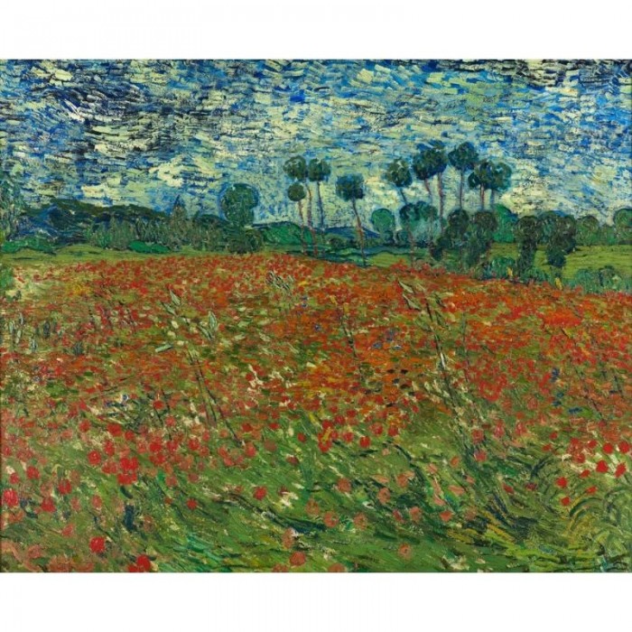 Vincent Van Gogh - Poppy Field Painting