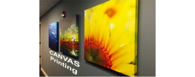 canvas
